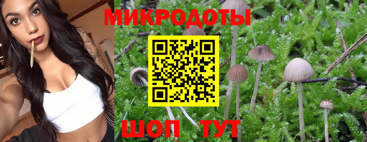 Галлюциногенные грибы Cubensis Орск