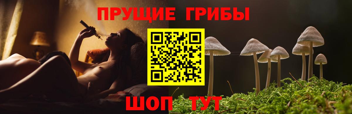 Орск  Псилоцибиновые грибы Psilocybine cubensis  Вход с VPN 